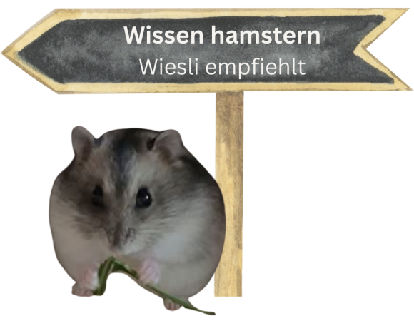 Dein Abschnittstext (22)